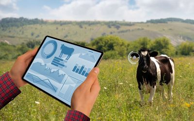 Animal Health Monitoring and Weight Prediction