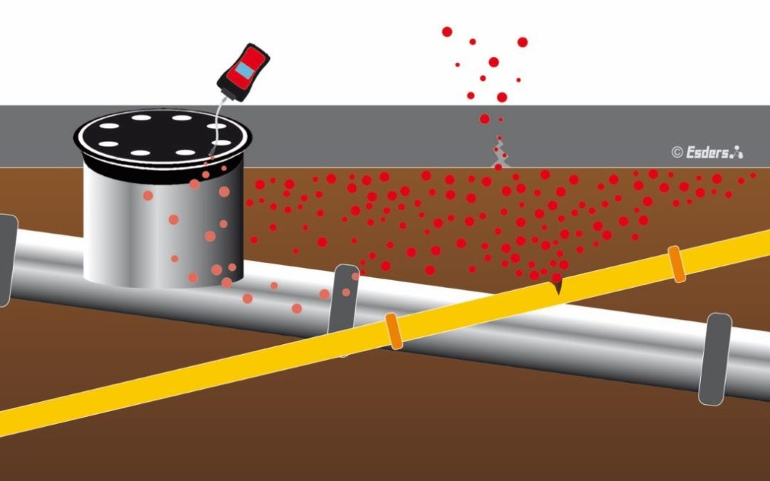 gass leakage detection